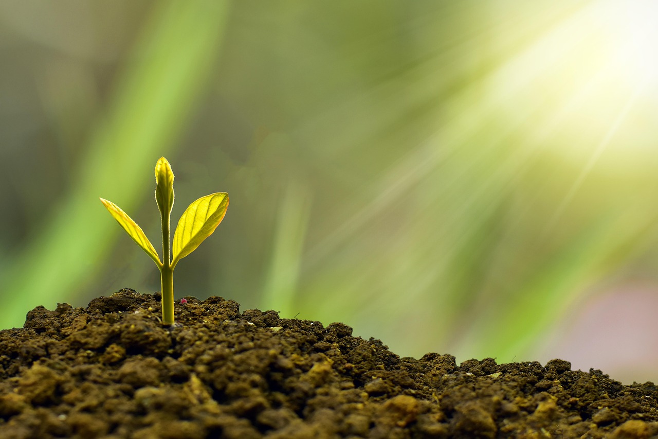 explore strategies and insights for achieving sustainable growth that balances economic success with environmental responsibility and social well-being.