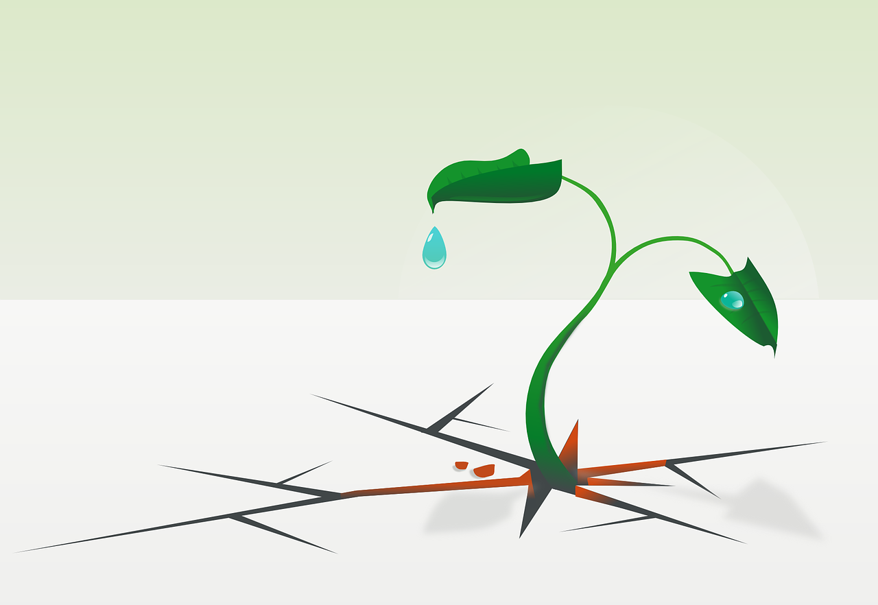 What Makes Some Business Models More Resilient Than Others?