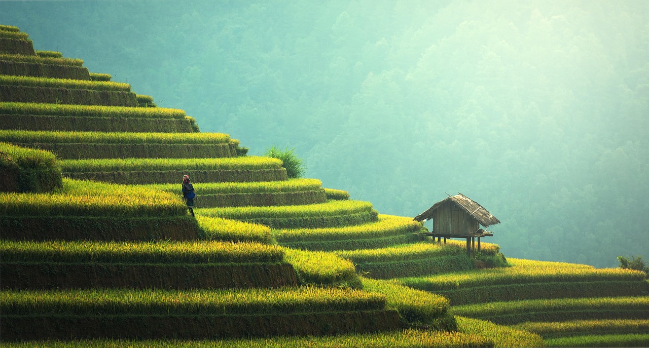 Strategies for sustainable company growth in 2025