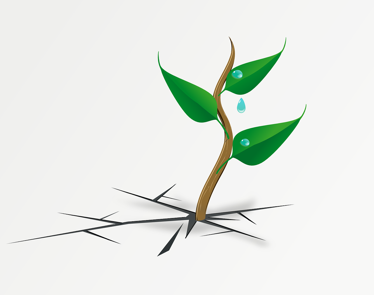 explore the concept of resilience, its importance in overcoming challenges, and ways to develop a stronger, more adaptable mindset in the face of adversity.