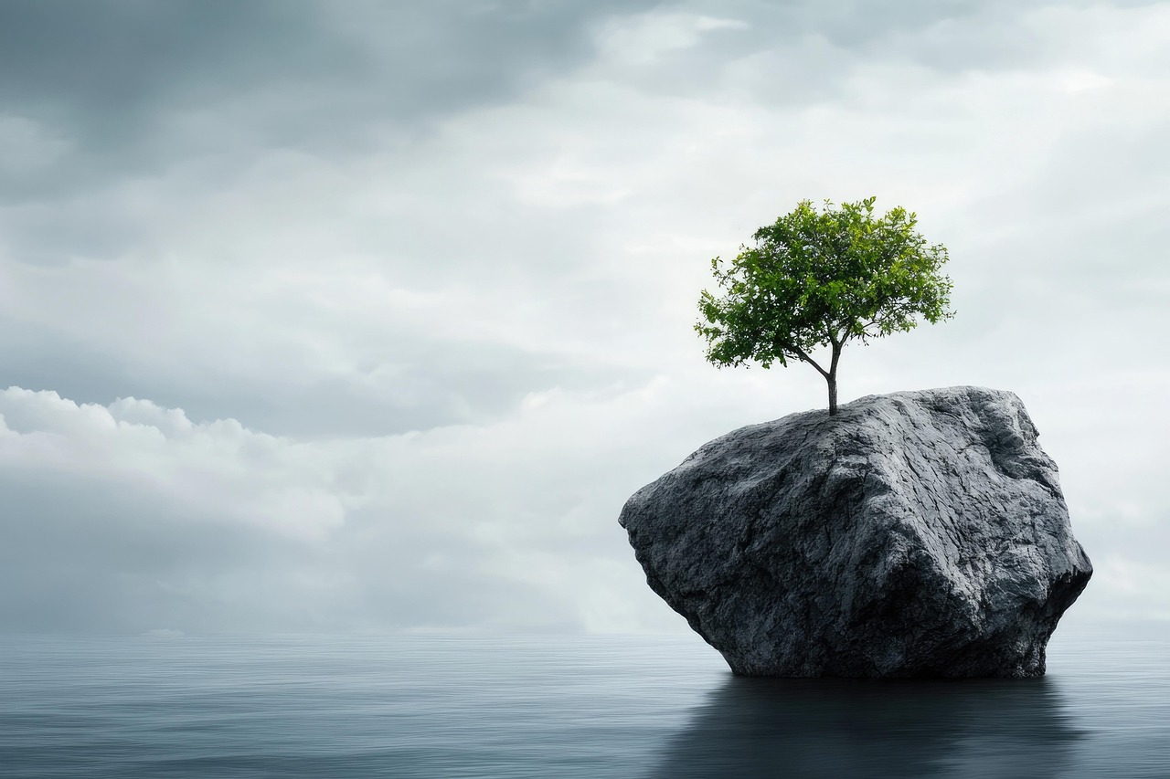 discover the power of resilience in overcoming challenges and thriving in adversity. learn strategies to build mental strength, embrace change, and foster perseverance in your personal and professional life.