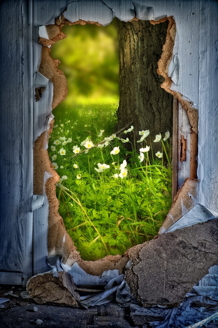 discover key insights from in-depth interviews with successful founders, sharing their journey, challenges, and tips for aspiring entrepreneurs.